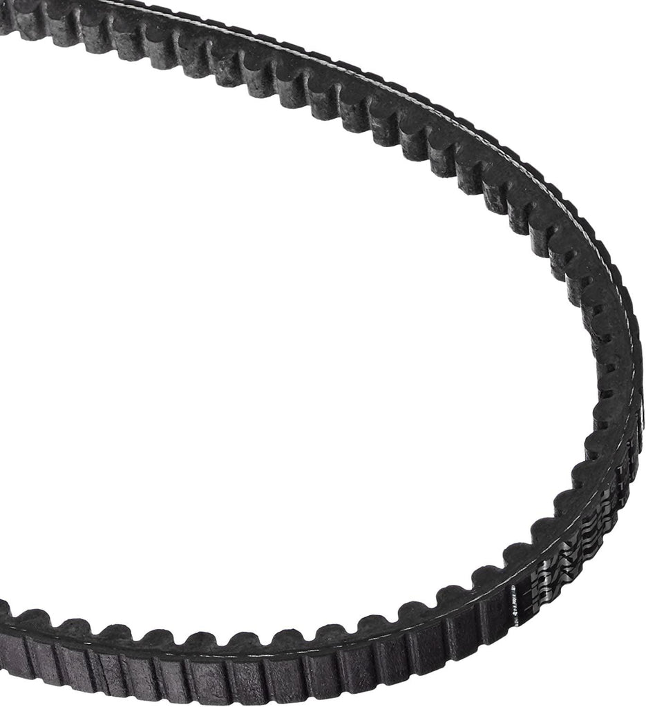 22420 V-Belt