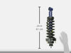 Roadmatic 181322 Strut and Coil Spring Assembly