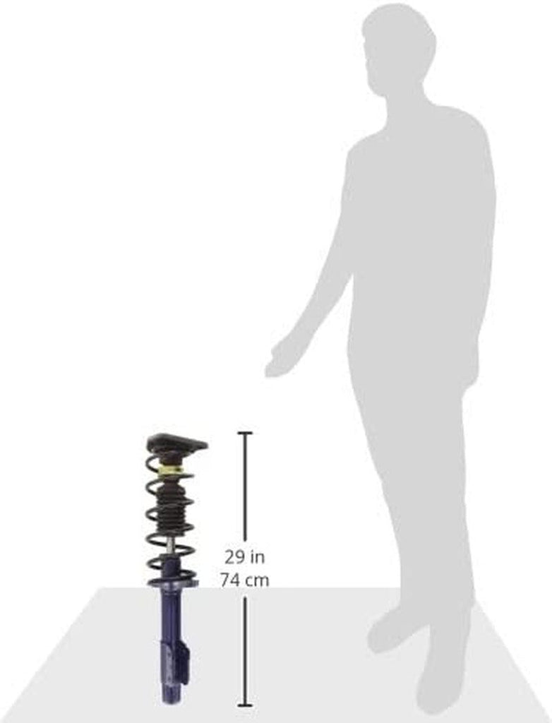 Roadmatic 181686 Strut and Coil Spring Assembly