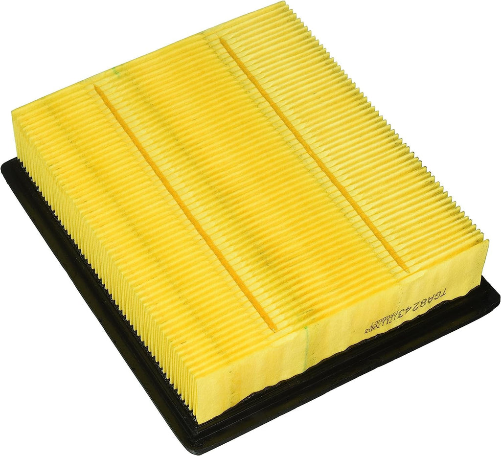 Nobrandname  FRAM  Air Filter