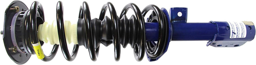 Roadmatic 182209 Strut and Coil Spring Assembly