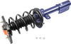 Roadmatic 181662L Strut and Coil Spring Assembly