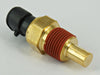 CTS1 Coolant Temperature Sensor