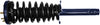 Roadmatic 181691R Strut and Coil Spring Assembly