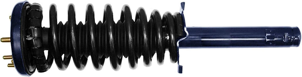 Roadmatic 181691R Strut and Coil Spring Assembly