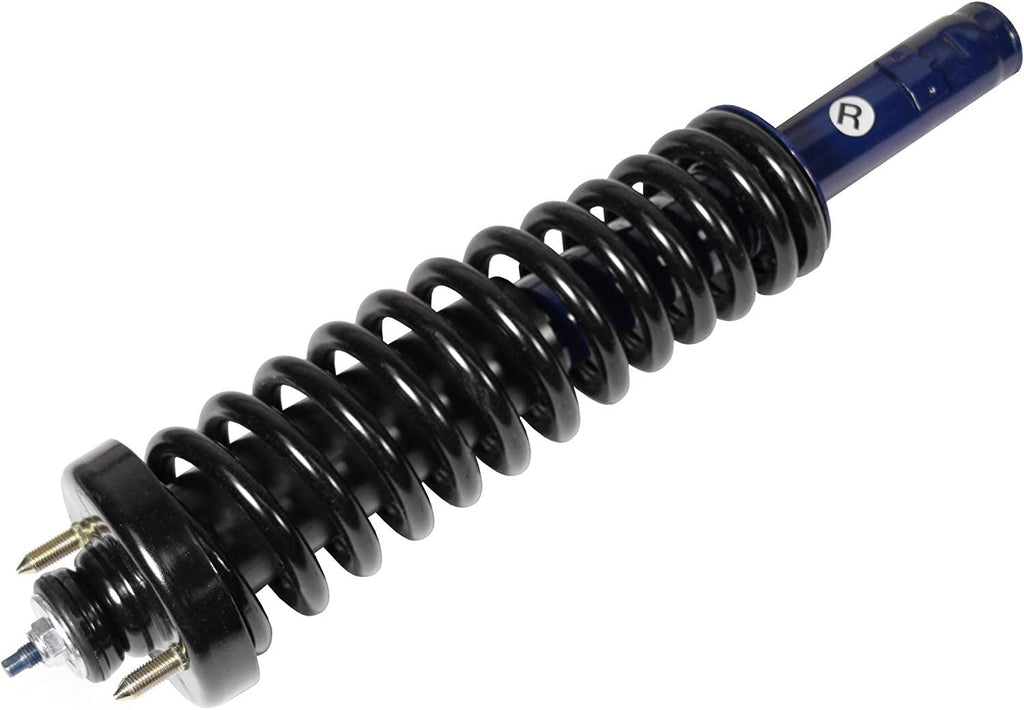 Roadmatic 181291R Strut and Coil Spring Assembly