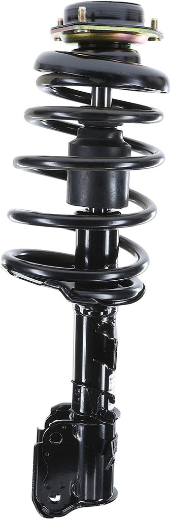 281574 Suspension Strut and Coil Spring Assembly