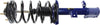 Roadmatic 181594 Strut and Coil Spring Assembly