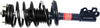 Roadmatic 181924 Strut and Coil Spring Assembly