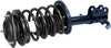 Roadmatic 281952 Strut and Coil Spring Assembly