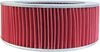 A2871C Professional Air Filter