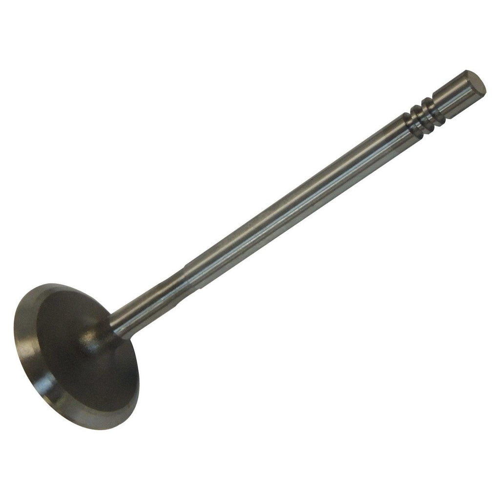 Crown Automotive - Steel Unpainted Intake Valve - greatparts