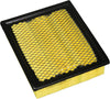 Nobrandname  FRAM  Air Filter