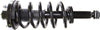 Roadmatic 181370 Strut and Coil Spring Assembly