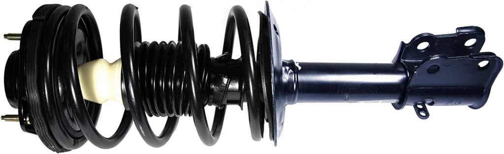 Roadmatic 181592 Strut and Coil Spring Assembly