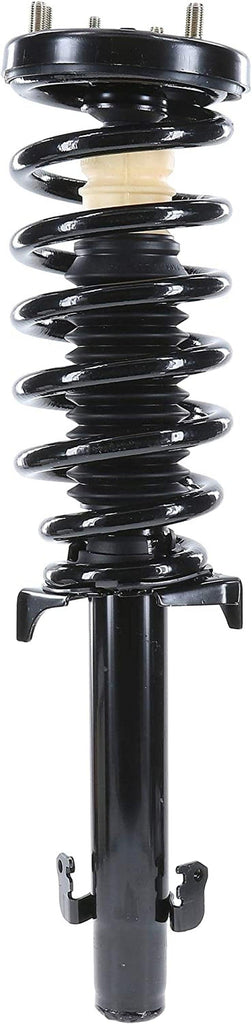 282694 Suspension Strut and Coil Spring Assembly