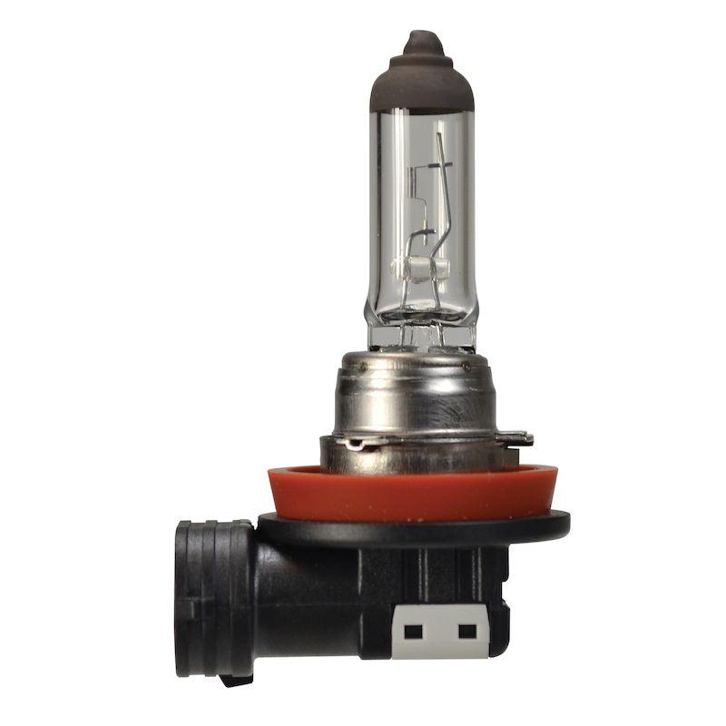 BULB H16 12V 19W PGJ19-3 SB 8GH - greatparts