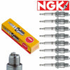 8 Pack NGK Standard Spark Plugs 92038 LFR7A 92038 LFR7A Tune up Kit Ep