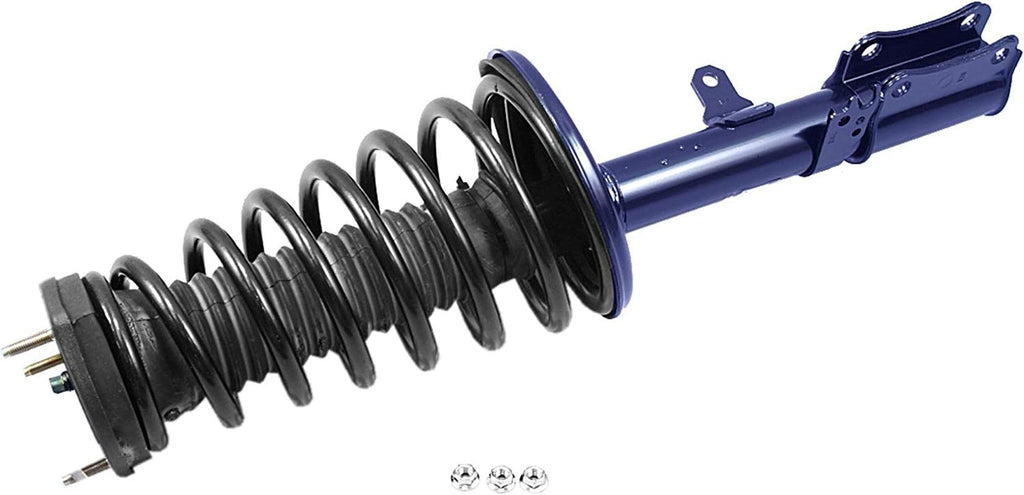 Roadmatic 181681 Strut and Coil Spring Assembly