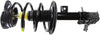 Roadmatic 182392 Strut and Coil Spring Assembly