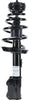 282626 Suspension Strut and Coil Spring Assembly