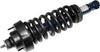 Roadmatic 181322 Strut and Coil Spring Assembly