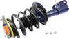 Roadmatic 181661 Strut and Coil Spring Assembly