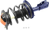 Roadmatic 181822 Strut and Coil Spring Assembly