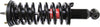 Quick-Strut 171102 Strut and Coil Spring Assembly