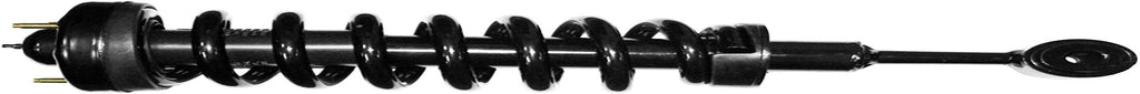 Quick-Strut 171361 Strut and Coil Spring Assembly