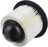 Gold A1517C Air Filter