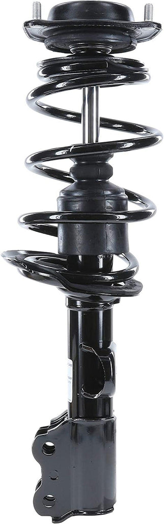 182708 Suspension Strut and Coil Spring Assembly