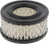 Extra Guard Heavy Duty Engine Air Filter Replacement, Easy Install W/ Advanced Engine Protection and Optimal Performance, CA329