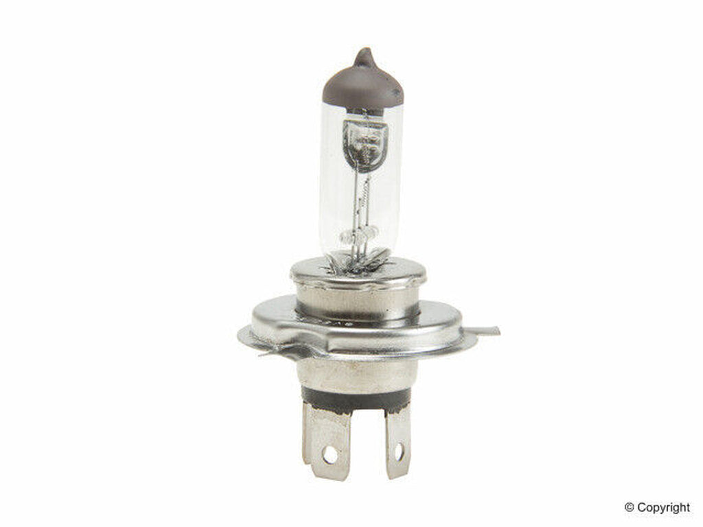 Flosser Headlight Bulb for Volkswagen 665543