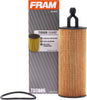 Tough Guard Replacement Oil Filter TG11665, Designed for Interval Full-Flow Changes Lasting up to 15K Miles