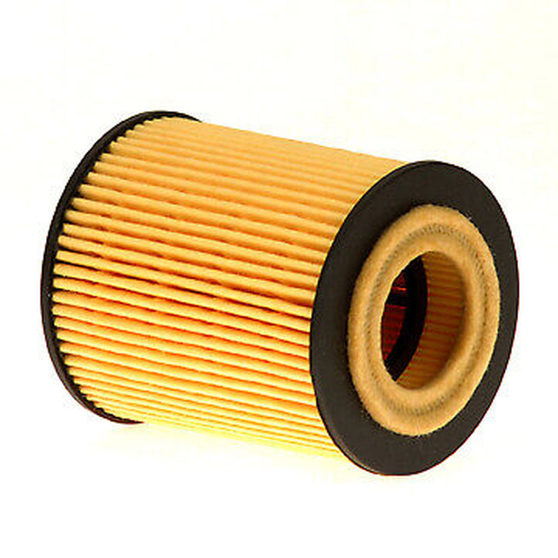 Engine Oil Filter for Zafira, L300, LW300, Vue, Catera, Astra, LS2, LW2 PO5309