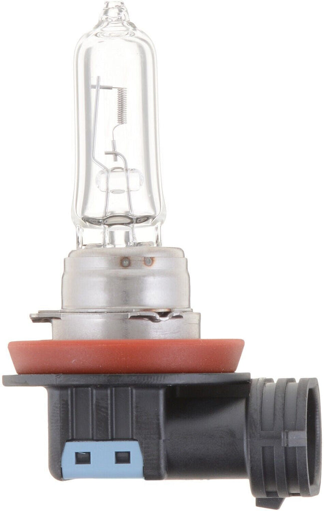 Headlight Bulb for Escape, Transit Connect, Kicks, Sentra, Versa+More H9B1