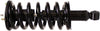 Roadmatic 181358 Strut and Coil Spring Assembly