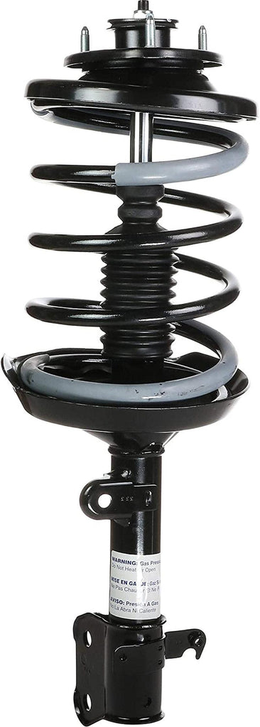 Roadmatic 182230 Strut and Coil Spring Assembly