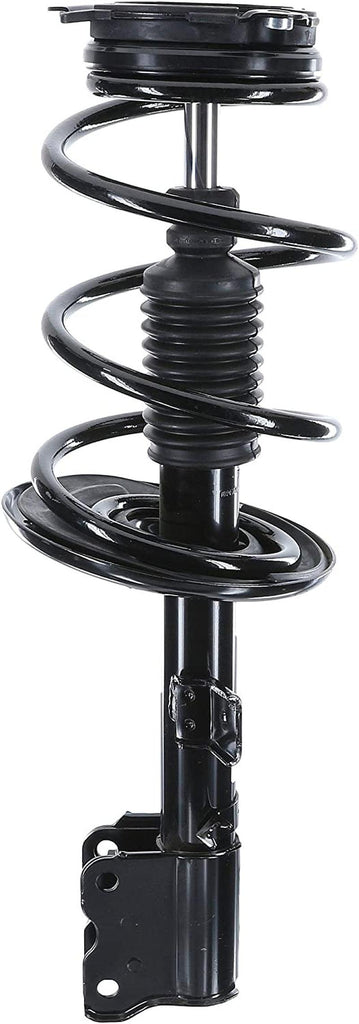 182607 Suspension Strut and Coil Spring Assembly