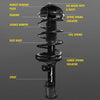 Roadmatic 181845L Strut and Coil Spring Assembly