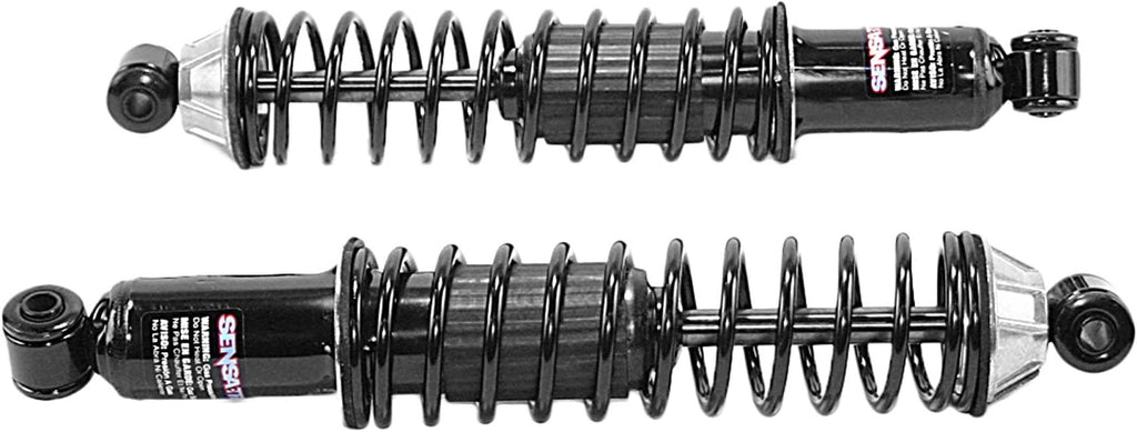 58620 Shock Absorber and Coil Spring Assembly, Pack of 2