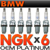 6-BMW Spark Plugs NGK Double Laser Platinum Upgrade Set (For BMW E39-E46-M54)