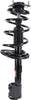 182766 Suspension Strut and Coil Spring Assembly