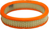 Extra Guard Oval Engine Air Filter Replacement, Easy Install W/ Advanced Engine Protection and Optimal Performance, CA3622