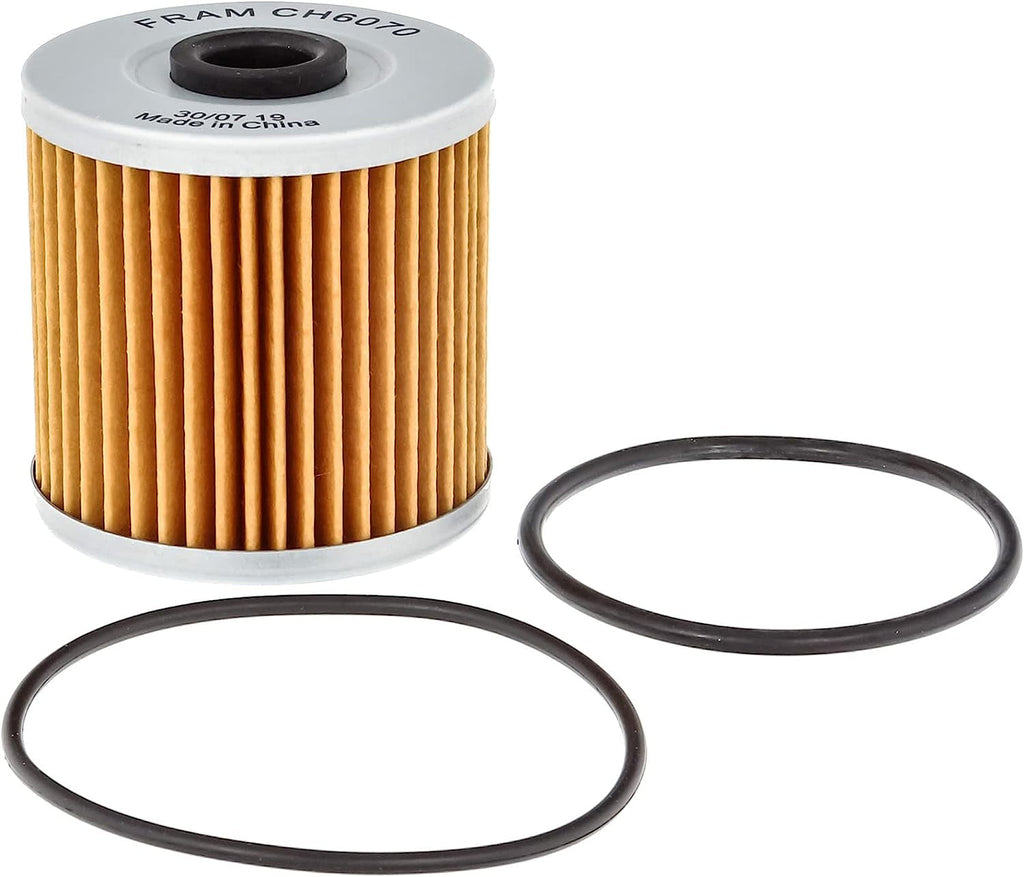 Extra Guard CH6070 Motorcycle/Atv Replacement Oil Filter, Fits Select Kawasaki Models