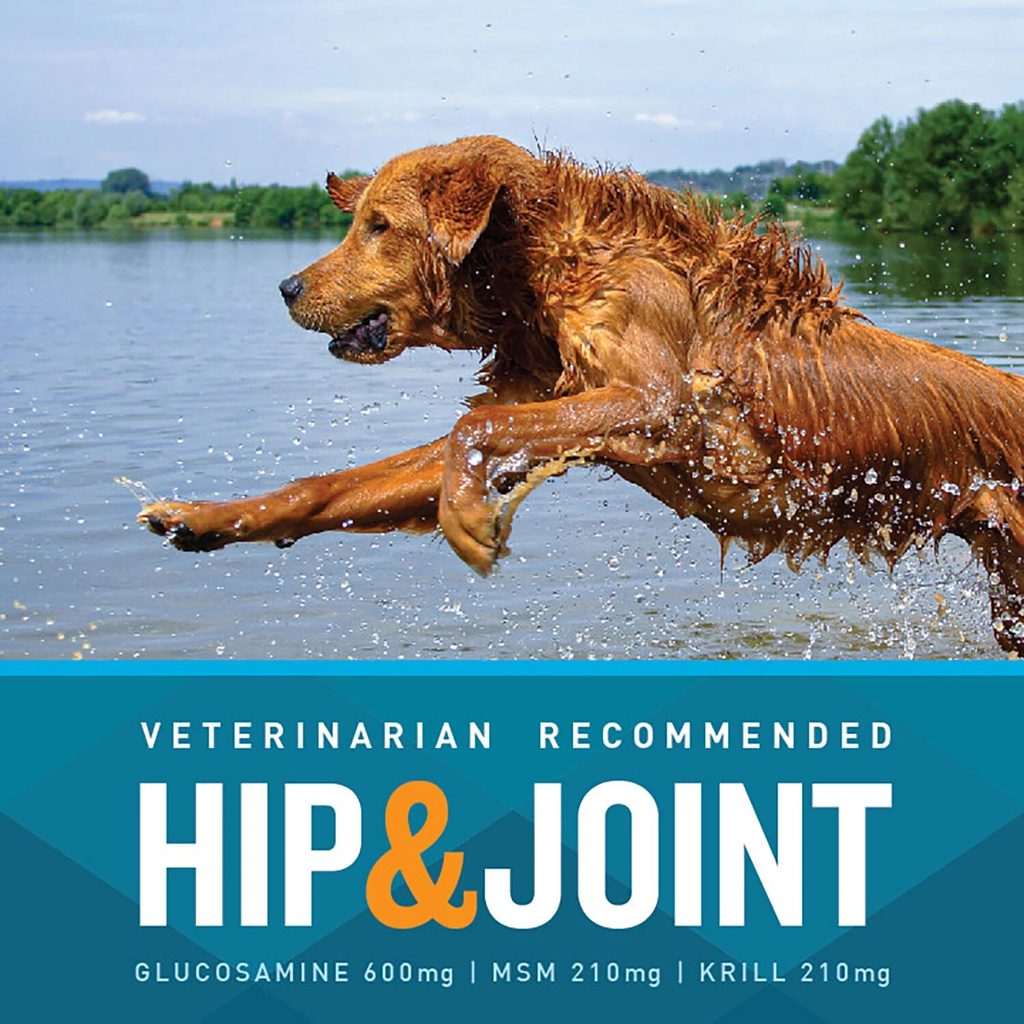 VETIQ Maximum Strength Hip & Joint Soft Dog Chews, Chicken Flavored (180 ct.)