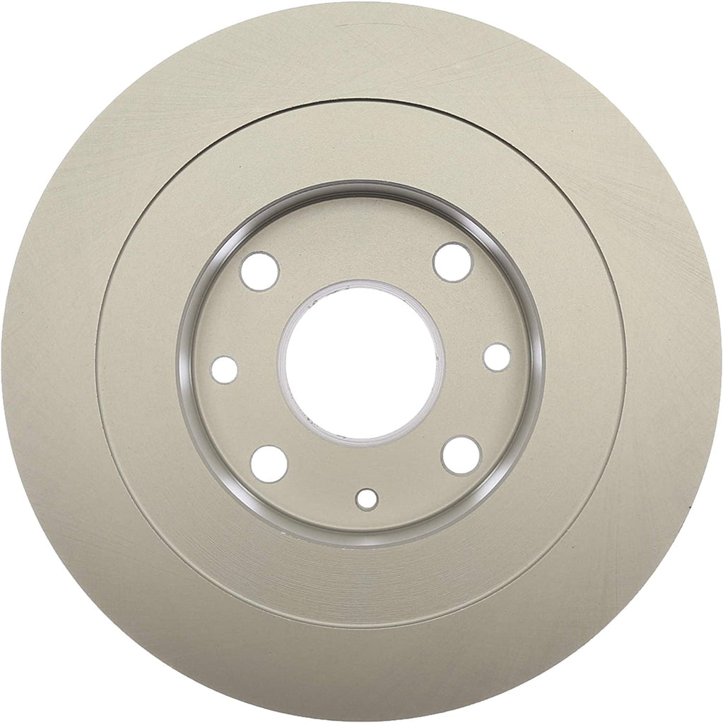 6129FZN Rust Prevention Technology Coated Rotor Brake Rotor, 1 Pack