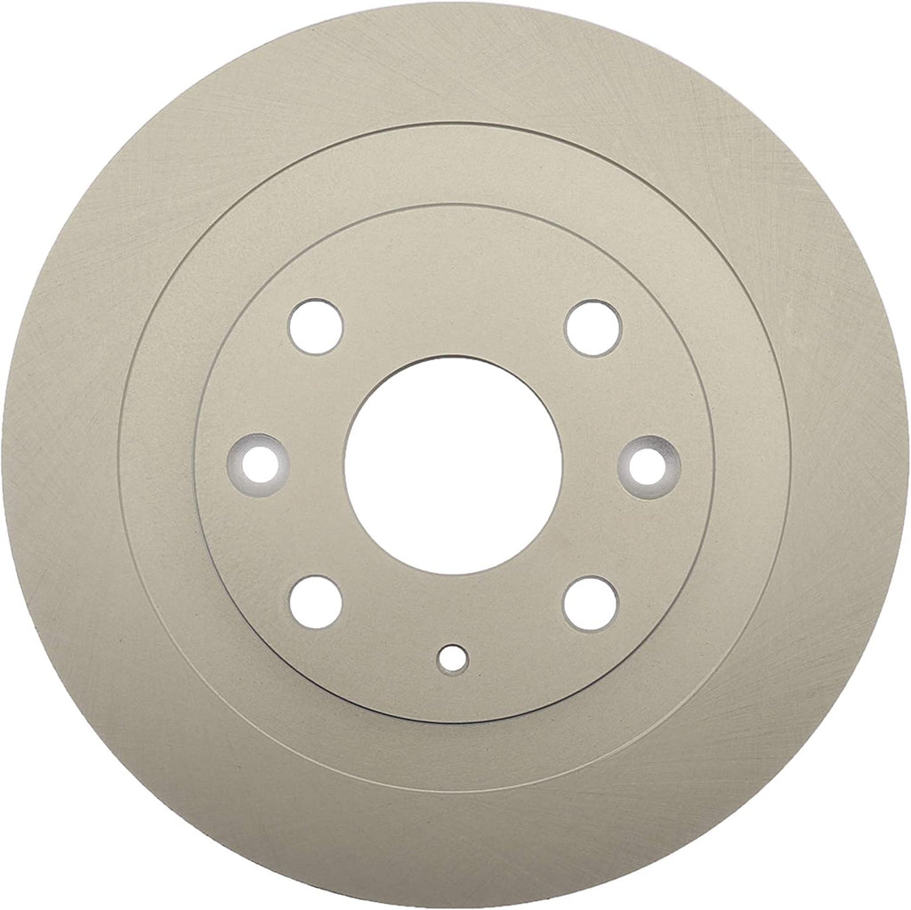 6129FZN Rust Prevention Technology Coated Rotor Brake Rotor, 1 Pack