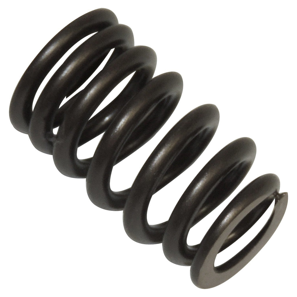 Crown Automotive - Steel Unpainted Valve Spring